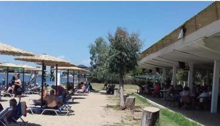 Sea View Across The Golden Bay Beach, Cosy Sunny, Spacious In Aretsou Kalamaria Apartment